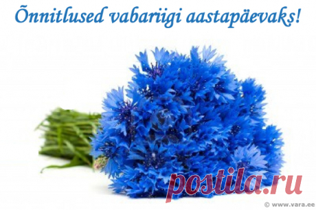 eesti vabariigi aastapäev - Google otsing