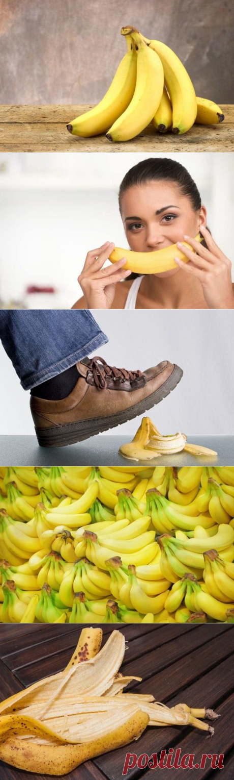Супер-советы по использованию банановой кожуры / Домоседы
