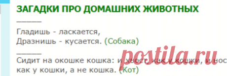 Загадки про животных