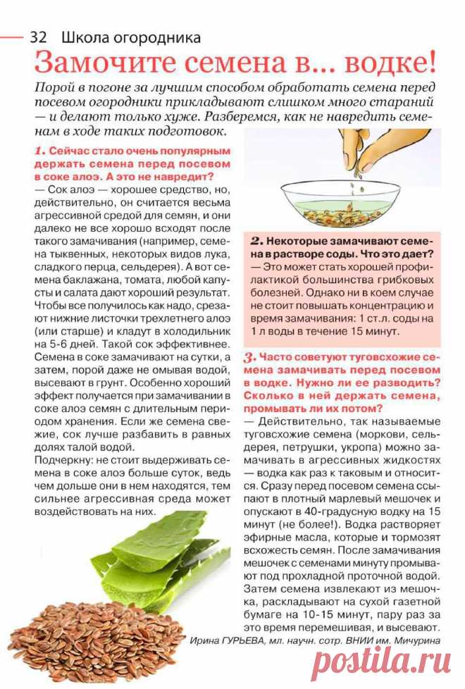 Как обработать семена перед посевом