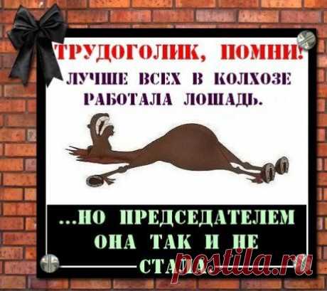 (14) Pinterest