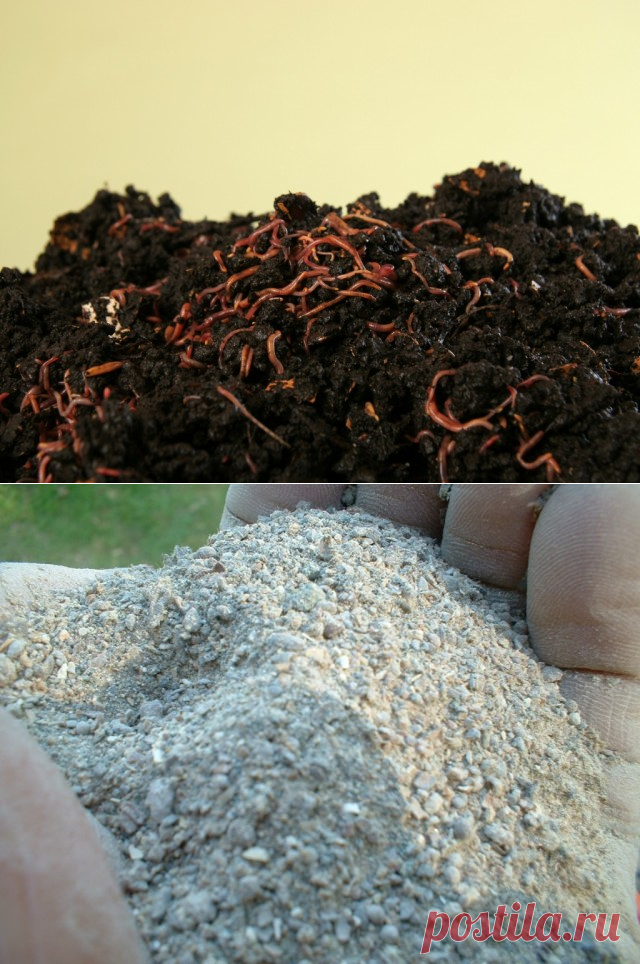 Органические удобрения: виды, применение, ошибки - Ботаничка.ru