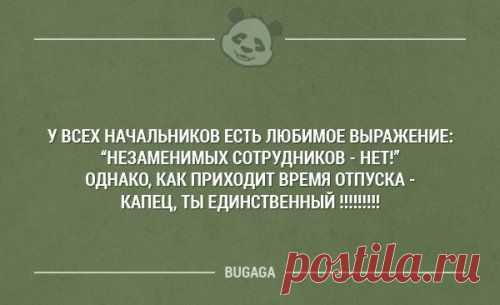 Доза прикольных картинок (58 шт)