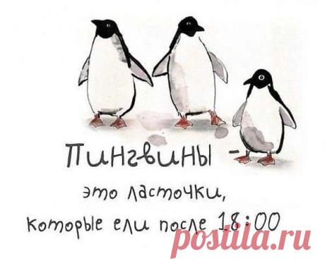 Интересные новости