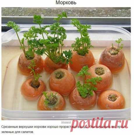 Рукоделие идеи и советы handmade