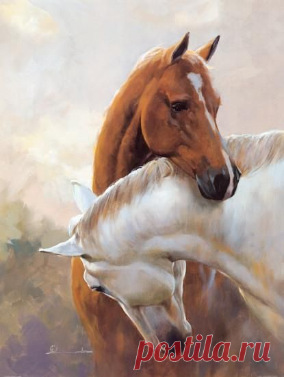 (9) Pinterest