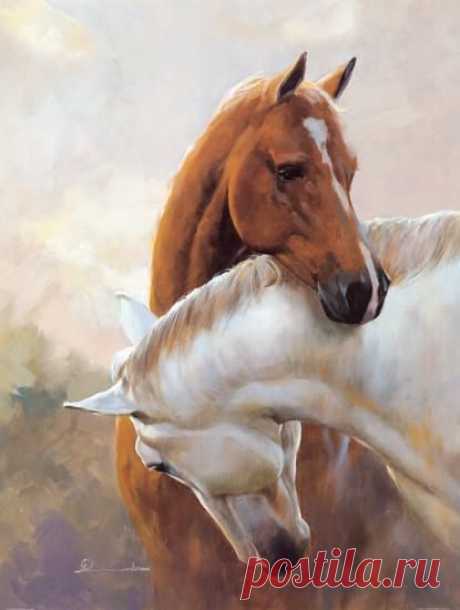 (9) Pinterest