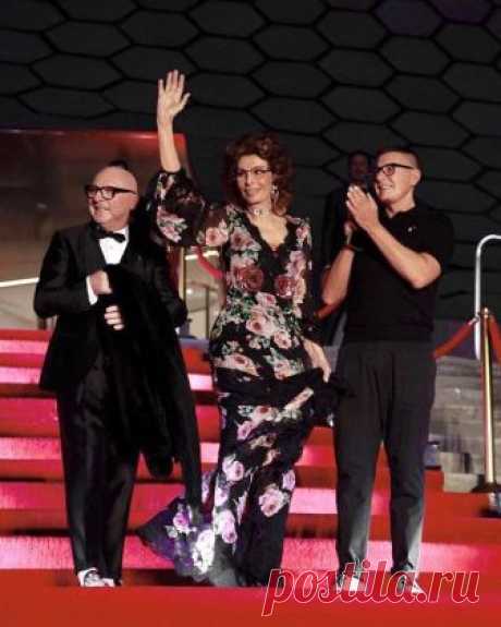 (3) Dolce & Gabbana - Фото