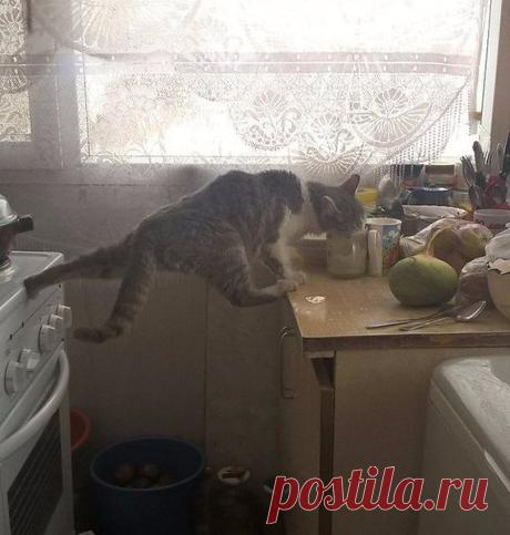 Наталья
