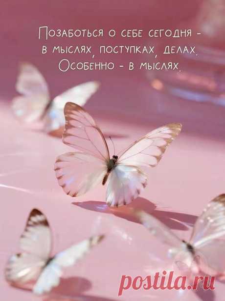 4adc8407.jpg (768×1024)