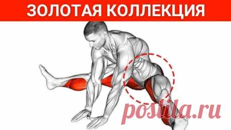 То, что нужно в 50 лет: Золотая коллекция упражнений кегеля, только лучшие движения | Томаш Игорь | Pro Training | Дзен