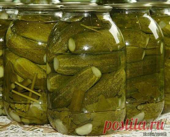 Хрустящие огурчики. Вкусная подборка! 

Вкусные хрустящие огурцы.

Отобрать небольшие огурчики, помыть, залить холодной водой на 3-4 часа. 

На 1,5 л банку:
Лавровый лист - 1 шт. 
Перец душистый - 5-8 горошин 
Лист хрена - 0,5 шт. 
Листики вишни, черной смородины
Укроп - зонтик 
Сельдерей - веточка
Чеснок - 3-4 зубка

После замачивания огурцы помыть под проточной водой и уложить в банки на зелень. 
Залить кипятком минут на 5- 10.
После остывания воду слить из банок в кастр...