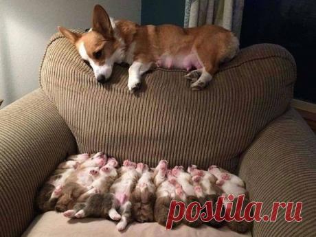 Самая безвыходная ситуация