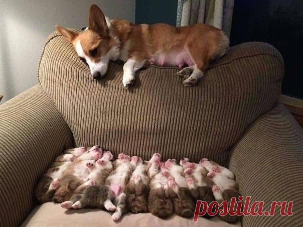 Самая безвыходная ситуация