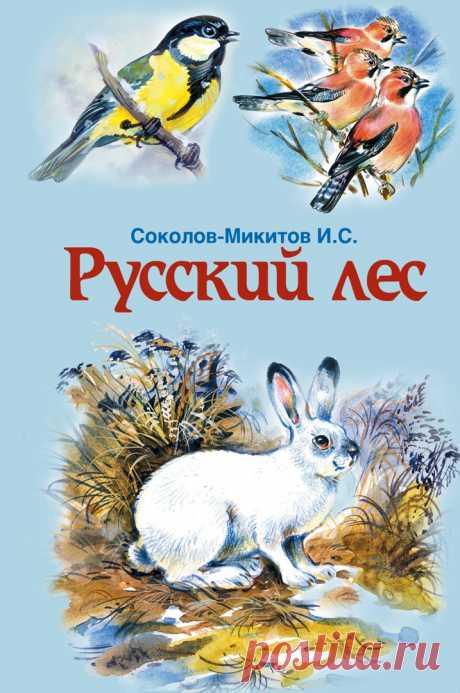 Рассказ о том, как хорош русский лес в любое время года: зимой и летом, осенью и весною. Зимой лес тихий, высокие, недвижные спят сосны. Весной лес просыпается, всё больше слышится птичьих голосов. А знойным летом хорошо укрыться в прохладном темном лесу