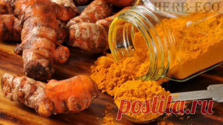 Куркума - польза и рецепты