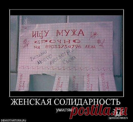 (62) Одноклассники