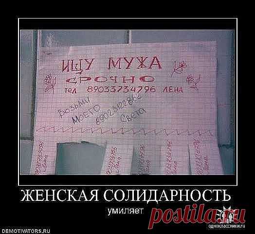 (62) Одноклассники