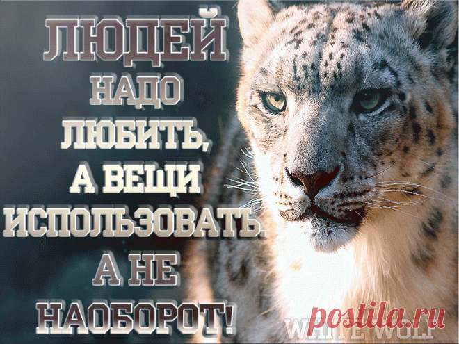 По поступкам видно, как тебя ценят, по звонкам — как нуждаются в тебе. И только со временем становится понятно, кому ты дорог.