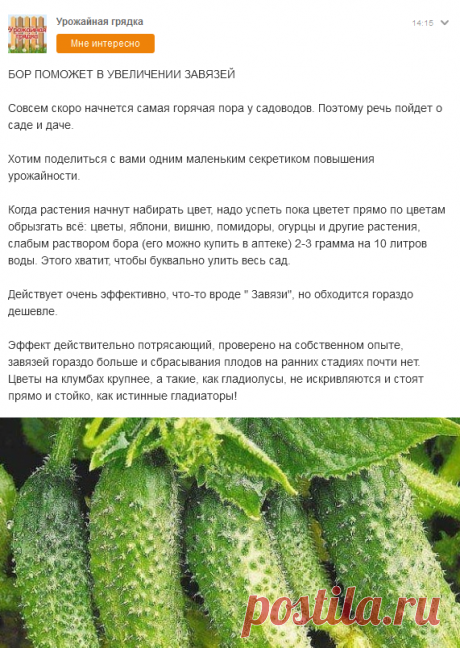 (4) Одноклассники