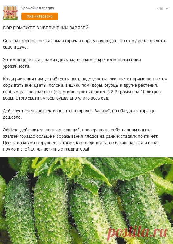 (4) Одноклассники