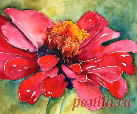 Zinnia | ART