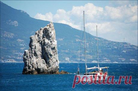 В субботу в Крыму откроется сезон охоты на пернатую дичь / Богатая добыча