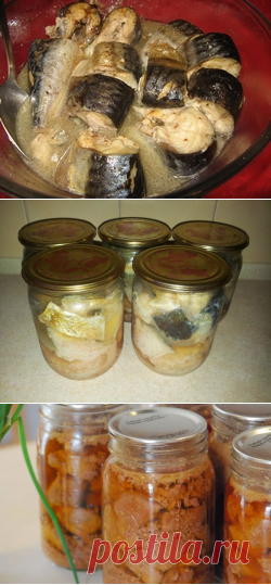 Консервирование рыбы в домашних условиях: рецепты, с овощами в масле, банках, духовке