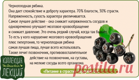 Черноплодная рябина