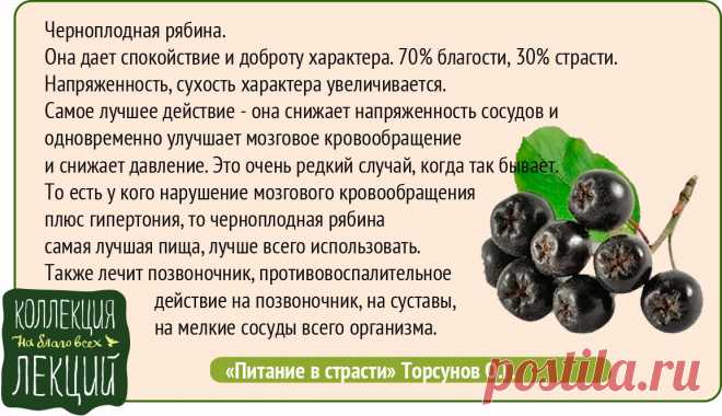 Черноплодная рябина