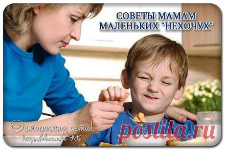 СОВЕТЫ МАМАМ МАЛЕНЬКИХ &quot;НЕХОЧУХ&quot;