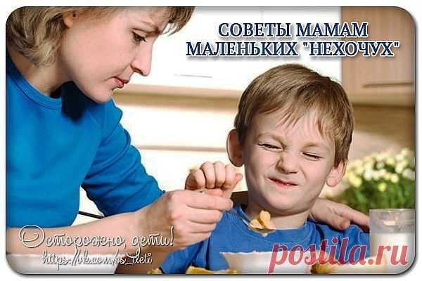 СОВЕТЫ МАМАМ МАЛЕНЬКИХ "НЕХОЧУХ"