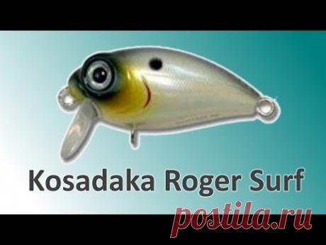 Kosadaka Roger Surf