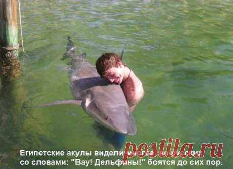 Некоторые с ними дружат!