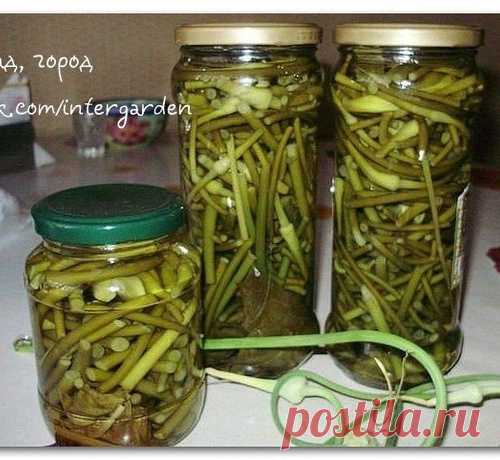 Чеснок консервированный