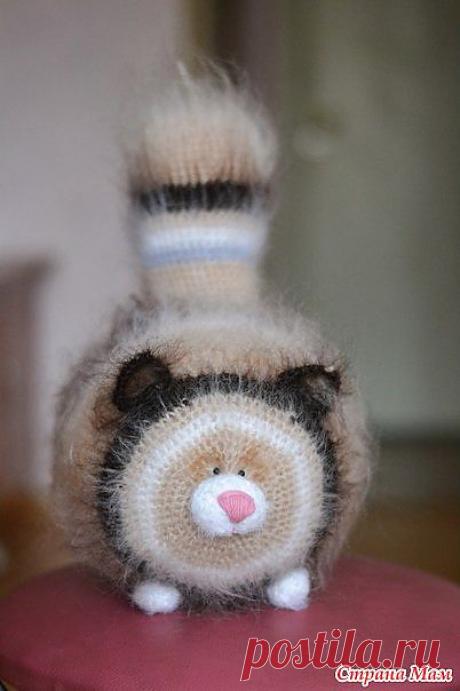 Котики-обжорики