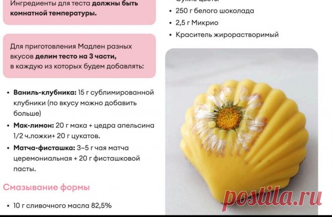 Скриншот-24-09-2025 18:42:22.jpg