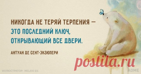 15 солнечных открыток с правильным отношением к жизни