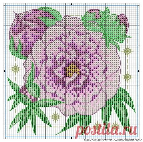 Бискорню, схемы.