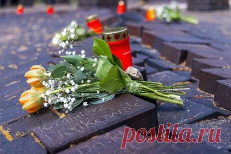 В Польше упрекнули Германию во лжи мирового масштаба. Польский историк Войцех Полак убежден, что немцы намеренно стараются сделать так, чтобы в глазах мирового сообщества Польша выглядела виновной в Холокосте. По его словам, одна лишь замена слова «немцы» на «нацисты» в отношении этих преступлений способствует смещению акцента, что выгодно Германии.