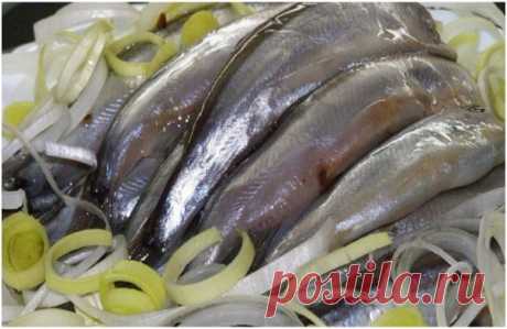 Лучшие закуски из мойвы и салаки 
Эта рыбка многими незаслуженно игнорируется, а ведь она очень вкусная. Пальчики оближешь!
Мойва, между прочим, морская рыба из семейства корюшковых, источник витаминов и минералов (витамина В12 в мойве в несколько раз больше, чем в говяжьей вырезке, навалом витамина А и D, плюс важнейшие...