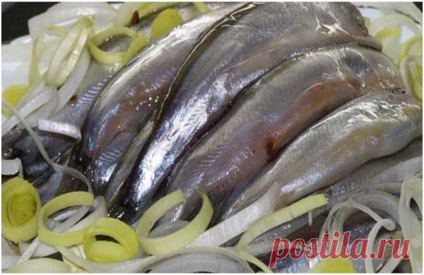 Лучшие закуски из мойвы и салаки 
Эта рыбка многими незаслуженно игнорируется, а ведь она очень вкусная. Пальчики оближешь!
Мойва, между прочим, морская рыба из семейства корюшковых, источник витаминов и минералов (витамина В12 в мойве в несколько раз больше, чем в говяжьей вырезке, навалом витамина А и D, плюс важнейшие...