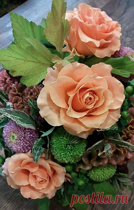 флористика