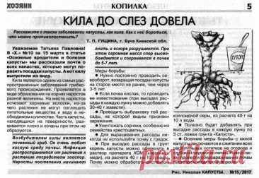 Кила - заболевание капусты
