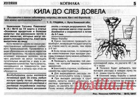Кила - заболевание капусты