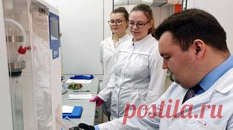 Омские ученые разработали полезные продукты питания для диабетиков - Life Идеи В Омском государственном аграрном университете имени П. А. Столыпина разработали рецепт мармелада для людей с диабетом. Поскольку этим недугом страдают