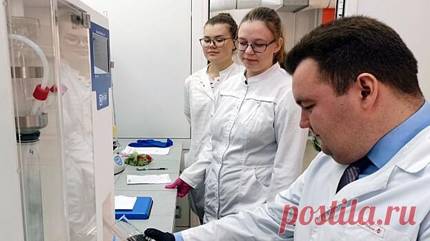 Омские ученые разработали полезные продукты питания для диабетиков - Life Идеи В Омском государственном аграрном университете имени П. А. Столыпина разработали рецепт мармелада для людей с диабетом. Поскольку этим недугом страдают