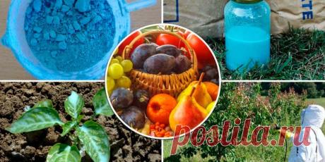 Применение медного и железного купороса - Сад и огород