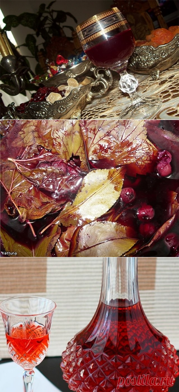 НАСТОЙКИ   САМОДЕЛЬНЫЕ