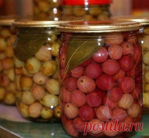 ТОП-10 рецептов из крыжовника